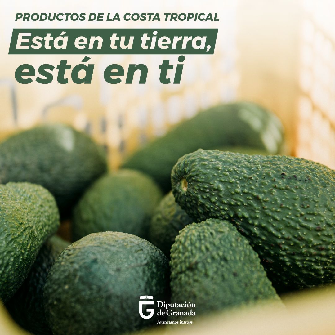 diputación_bioprocam